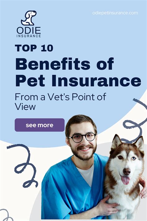 10 Benefits Of Pet Insurance Artofit 10 Benefits Of Pet Insurance Artofit