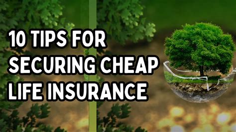 10 Tips For Securing Cheap Life Insurance Zoromia 10 Tips For Securing Cheap Life Insurance Zoromia