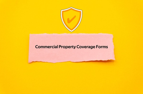105 Commercial Property Coverage Forms Royalty Free Photos And Stock Images Shutterstock 105 Commercial Property Coverage Forms Royalty Free Photos And Stock Images Shutterstock