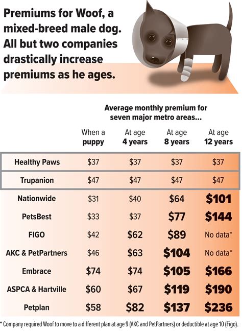20 Best What Does Dog Insurance Cover 20 Best What Does Dog Insurance Cover