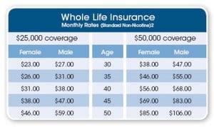 20 Life Insurance Compare Quotes And Photos Quotesbae 20 Life Insurance Compare Quotes And Photos Quotesbae