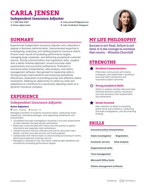 3 Successful Independent Insurance Adjuster Resume Examples And Writing 3 Successful Independent Insurance Adjuster Resume Examples And Writing