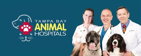 360 Of Care For Pets Tampa Fl Tampa Bay Animal Hospital Group 360 Of Care For Pets Tampa Fl Tampa Bay Animal Hospital Group