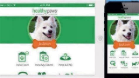 5 Great Apps For Pet Parents On A Budget Healthy Paws Pet Insurance 5 Great Apps For Pet Parents On A Budget Healthy Paws Pet Insurance