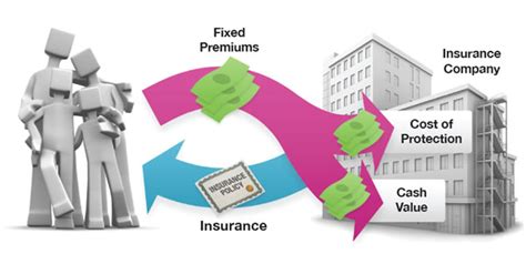 A Look At Whole Life Insurance Omni Life Associates Inc A Look At Whole Life Insurance Omni Life Associates Inc