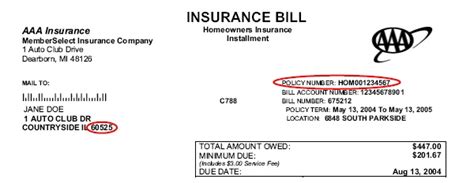 Aaa Web Pay Statement Sample Aaa Web Pay Statement Sample