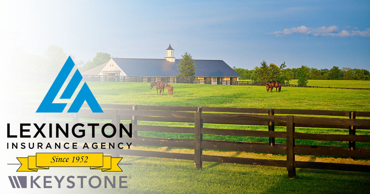 About Our Agency Lexington Insurance Agency Inc About Our Agency Lexington Insurance Agency Inc
