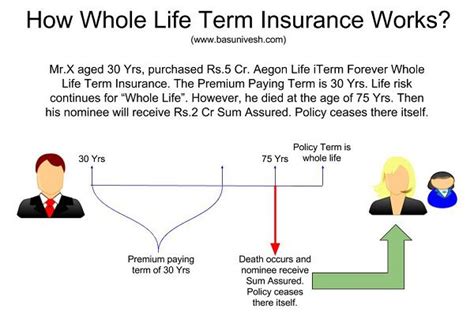 Aegon Life Iterm Forever Whole Life Term Insurance Should You Buy Aegon Life Iterm Forever Whole Life Term Insurance Should You Buy