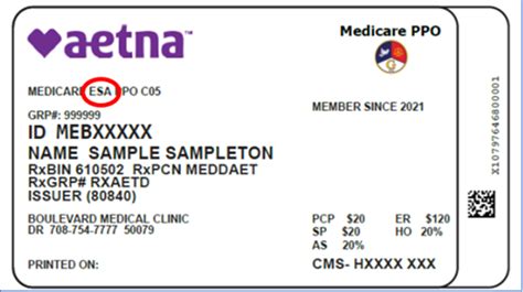 Aetna Us Healthcare Insurance Aetna Us Healthcare Insurance