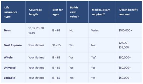 Affordable Life Insurance Options In Florida Explained Compared Affordable Life Insurance Options In Florida Explained Compared