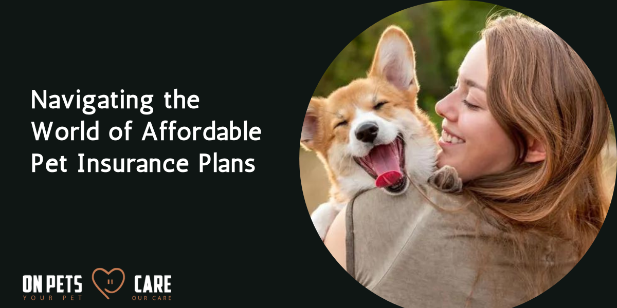 Affordable Pet Insurance