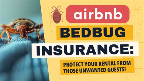 Airbnb Bed Bug Insurance Coverage Protect Your Rental From Unwanted Airbnb Bed Bug Insurance Coverage Protect Your Rental From Unwanted