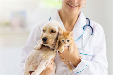 Animal Health Insurance Animal Health Insurance