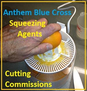 Anthem Blue Cross Discourages Agents Assisting Consumers With Health Anthem Blue Cross Discourages Agents Assisting Consumers With Health