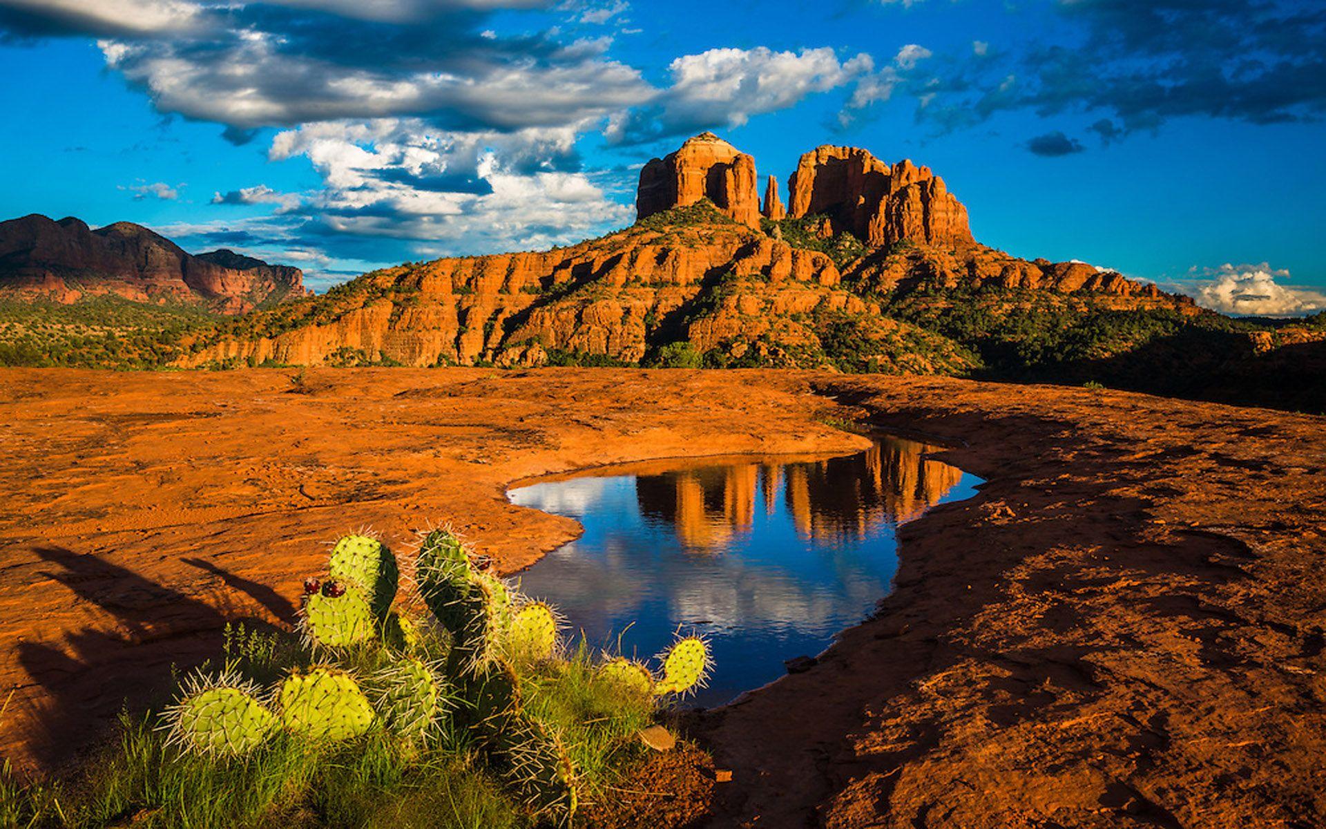 Arizona Health Insurance Plans