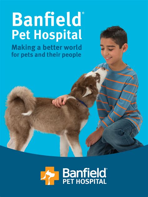 Banfield Pet Insurance Cancel Life Insurance Quotes Banfield Pet Insurance Cancel Life Insurance Quotes