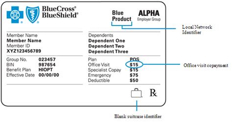 Bcbs Insurance Card Group Number Emsekflol Com Bcbs Insurance Card Group Number Emsekflol Com