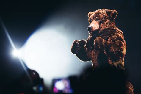 Beary Good Work In Uncovering Insurance Fraud Scheme Business Insurance Beary Good Work In Uncovering Insurance Fraud Scheme Business Insurance