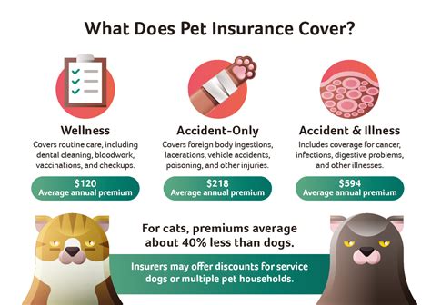 Being A Good Pet Parent Starts With Pet Insurance Insurance Blog By Being A Good Pet Parent Starts With Pet Insurance Insurance Blog By