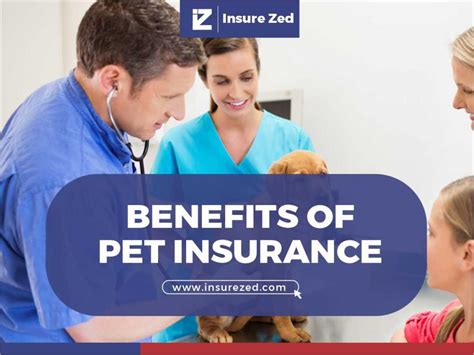 Benefits Of Pet Insurance Petlifeca Benefits Of Pet Insurance Petlifeca