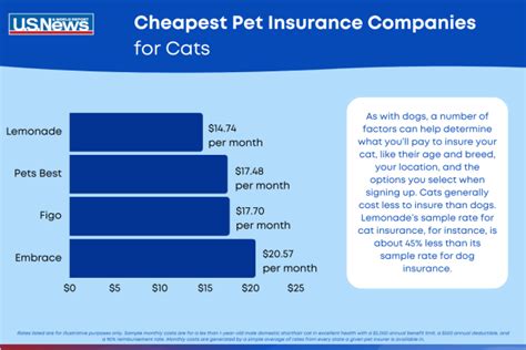 Best Cheap Pet Insurance Of 2025 Best Cheap Pet Insurance Of 2025