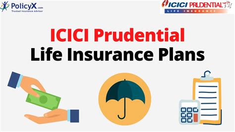 Best Icici Prudential Life Insurance Plans In Depth Detail Analysis Best Icici Prudential Life Insurance Plans In Depth Detail Analysis
