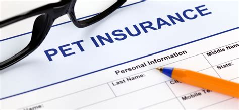 Best Pet Insurance 2024