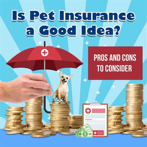 Best Pet Insurance Arizona Life Insurance Quotes Best Pet Insurance Arizona Life Insurance Quotes