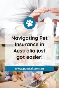 Best Pet Insurance Australia Compare Save On The Right Policy Best Pet Insurance Australia Compare Save On The Right Policy