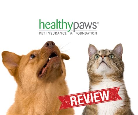 Best Pet Insurance Canada It Can Be A Whirlwind Of Through Our Best Pet Insurance Canada It Can Be A Whirlwind Of Through Our
