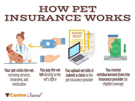 Best Pet Insurance Companies In October 2023 Reviews Comparison Tables Best Pet Insurance Companies In October 2023 Reviews Comparison Tables
