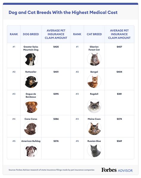 Best Pet Insurance Companies Of March 2023 Forbes Advisor Best Pet Insurance Companies Of March 2023 Forbes Advisor