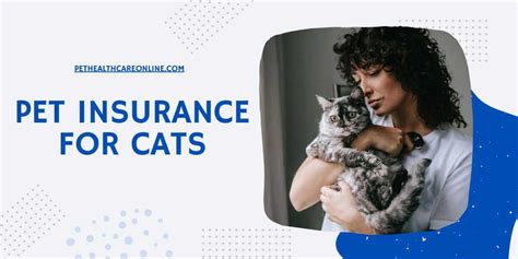 Best Pet Insurance For Cats 2023 Pethealthcareonline Best Pet Insurance For Cats 2023 Pethealthcareonline