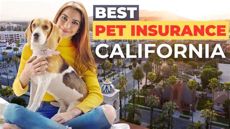 Best Pet Insurance In California Top 5 Reviews Insurance For Dogs Best Pet Insurance In California Top 5 Reviews Insurance For Dogs