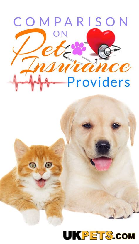 Best Pet Insurance Uk 2021 Best Pet Insurance Uk 2021
