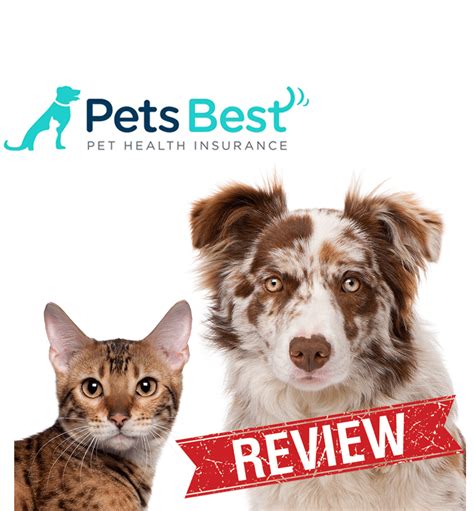 Best Pet Insurance Your Pets Deserve Pet Insurance That Will Cover All Best Pet Insurance Your Pets Deserve Pet Insurance That Will Cover All