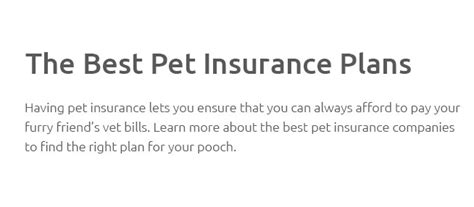 Best Pet Insurances May 2025 Best Pet Insurances May 2025