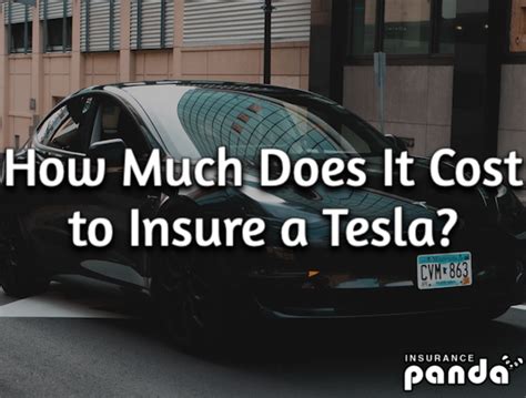 Best Tesla Car Insurance How Much Does It Cost To Insure A Tesla By Best Tesla Car Insurance How Much Does It Cost To Insure A Tesla By