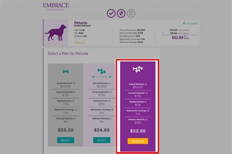California Pet Insurance Best Worst Of 2018 And The Winner Is California Pet Insurance Best Worst Of 2018 And The Winner Is