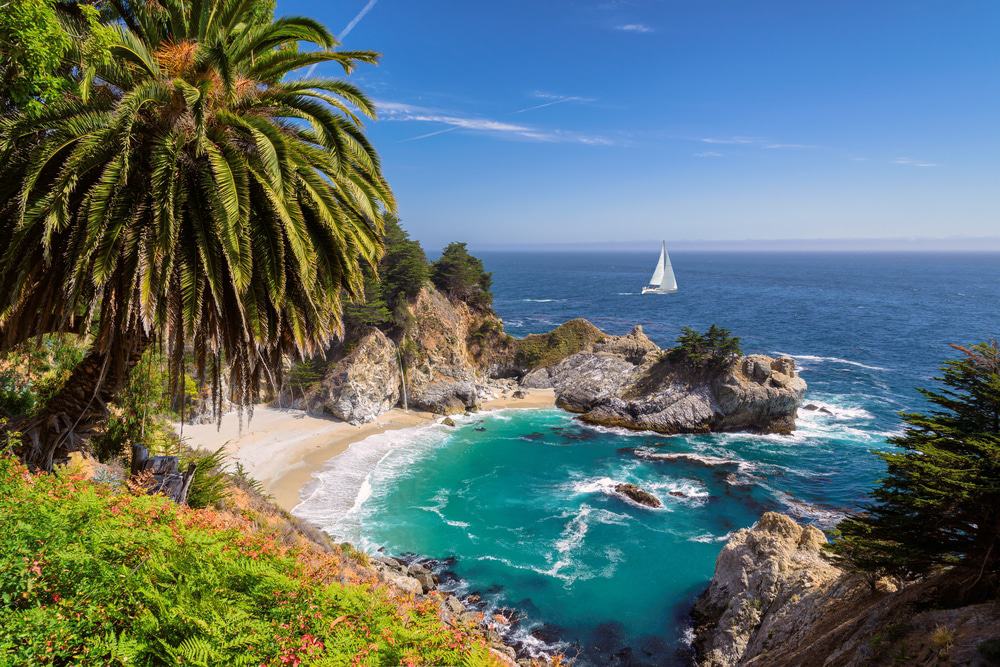 California State Medical Insurance