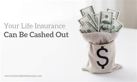 Can You Cash Out Life Insurance