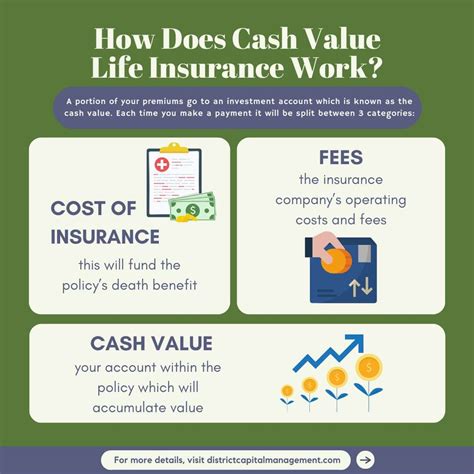 Cash Value Life Insurance How Does It Work And Who Is It For Cash Value Life Insurance How Does It Work And Who Is It For