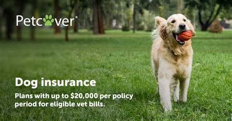 Cat And Dog Insurance