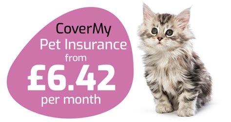 Cat Insurance Cover My Insurance Cat Insurance Cover My Insurance