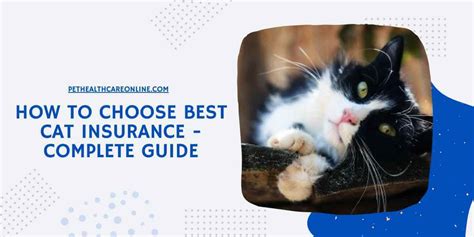 Cheap Cat Insurance