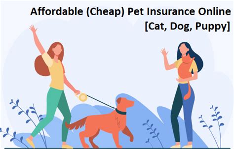 Cheap Puppy Insurance