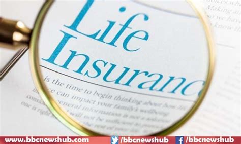 Cheap Term And Whole Life Insurance Guide Affordable Life Insurance Cheap Term And Whole Life Insurance Guide Affordable Life Insurance