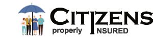Citizens Insurance Payment