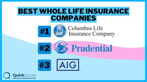 Companies That Offer Life Insurance 51 Percent Of The Life Insurance Companies That Offer Life Insurance 51 Percent Of The Life Insurance
