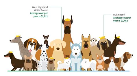 Compare Pet Insurance 2021 Guide To Choosing Pet Insurance Cover Mozo Compare Pet Insurance 2021 Guide To Choosing Pet Insurance Cover Mozo